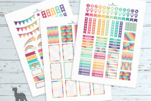 Rainbow planner printables—HPC