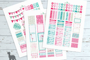 Flamingo planner printables—EC Planner