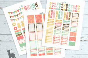 Gold pineapple planner printables—EC Planner