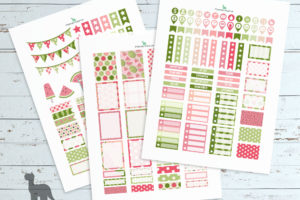 Watermelon planner printables—EC Planner