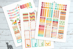 Cinco de Mayo planner printables—HPC