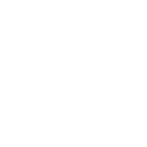 Asset 19 Asset 19